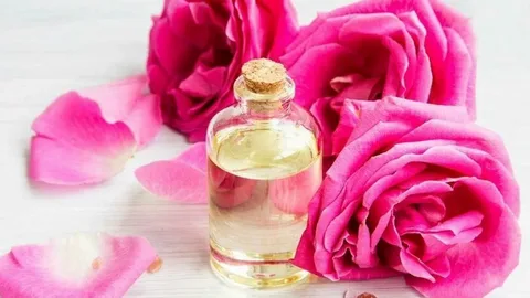 تصویر 4 از گلاب عطر سازی با خلوص طبیعی و رایحه غنی